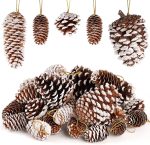 JOHOUSE Natural Pine Cones with Snow_01