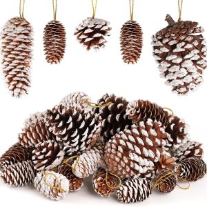JOHOUSE Natural Pine Cones with Snow_01
