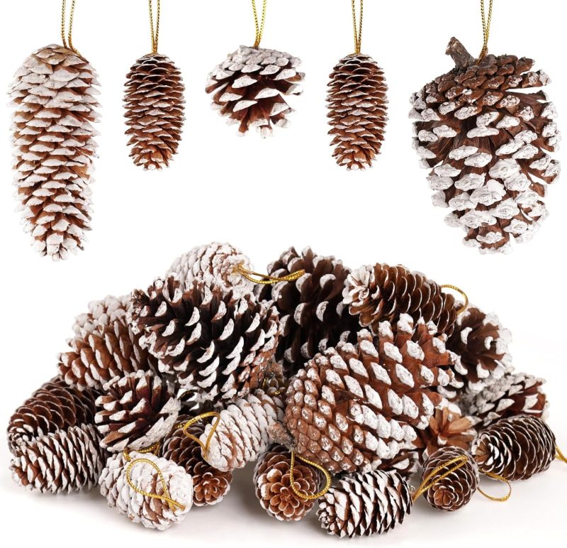 JOHOUSE Natural Pine Cones with Snow_01