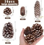 JOHOUSE Natural Pine Cones with Snow_02