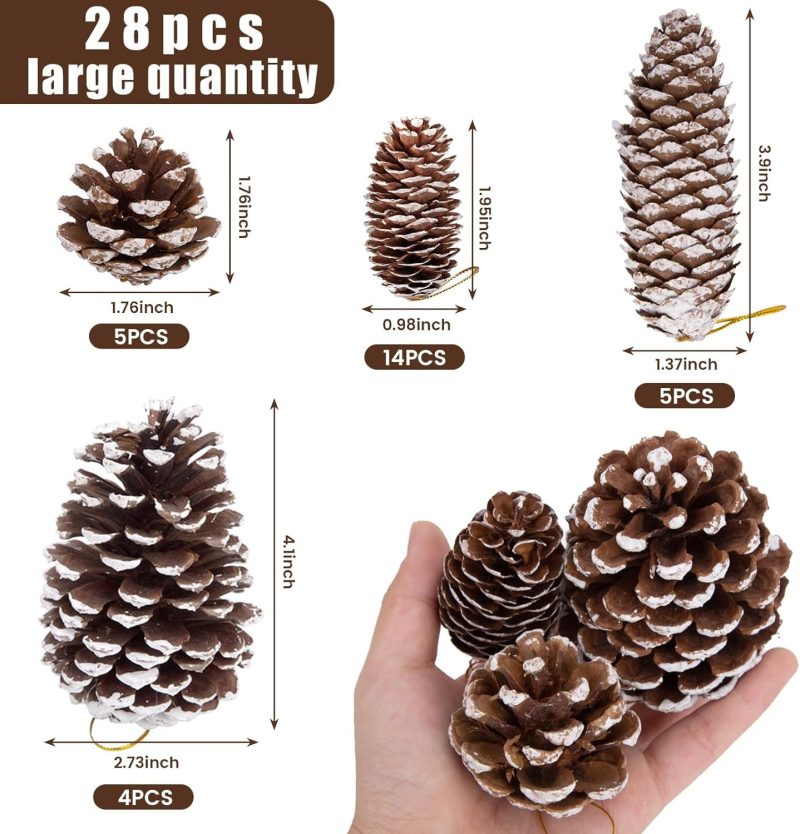 JOHOUSE Natural Pine Cones with Snow_02