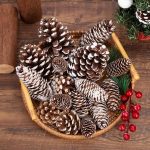 JOHOUSE Natural Pine Cones with Snow_03