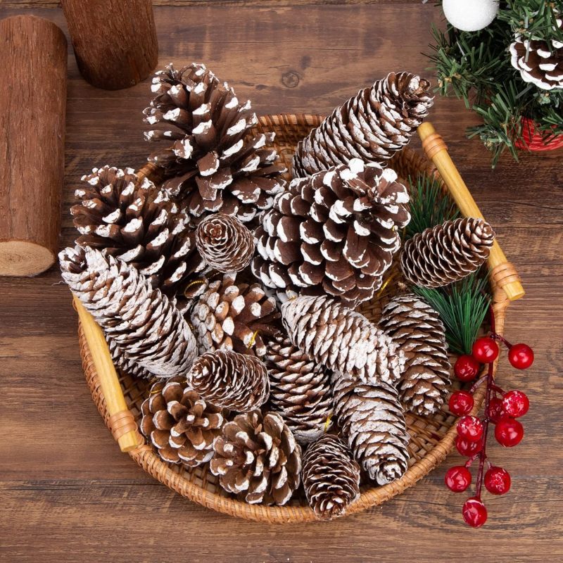 JOHOUSE Natural Pine Cones with Snow_03