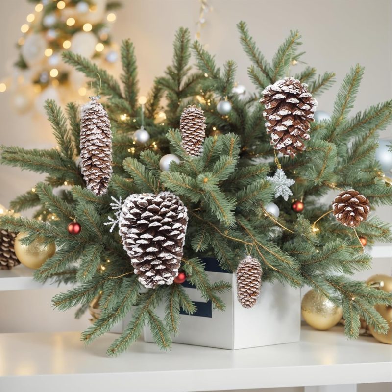 JOHOUSE Natural Pine Cones with Snow_04
