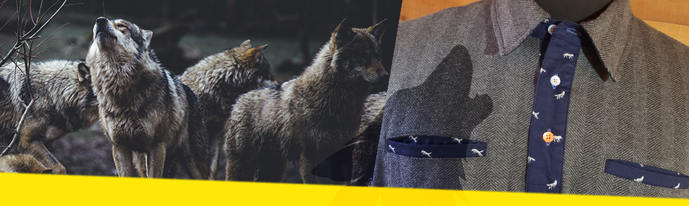 August Wolf